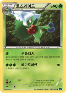 Front of 로즈레이드 9, 와일드 블레이즈 Korean
