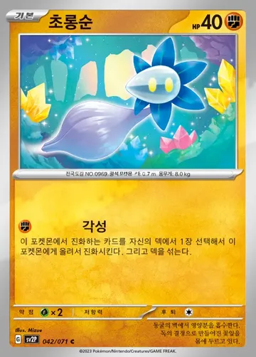 초롱순 42 ₩300