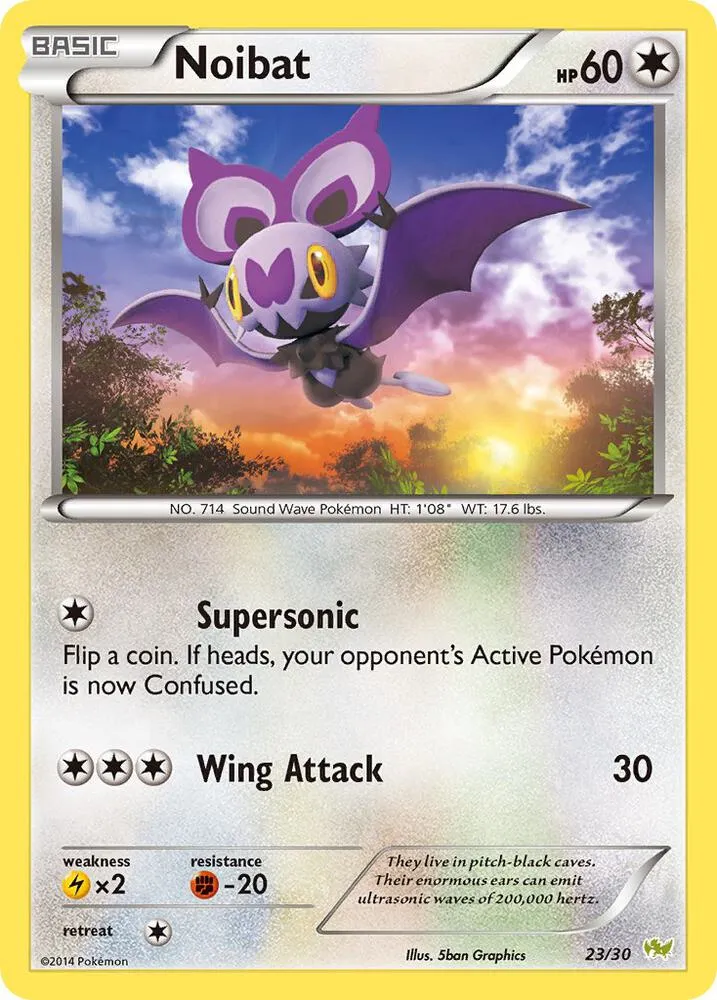 XY Trainer Kit: Sylveon & Noivern 英語版 Noibat 23 カード表面