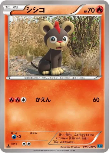 シシコ 14 ¥313