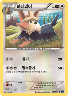 X컬렉션 韓国語版 하데리어 50 カード表面