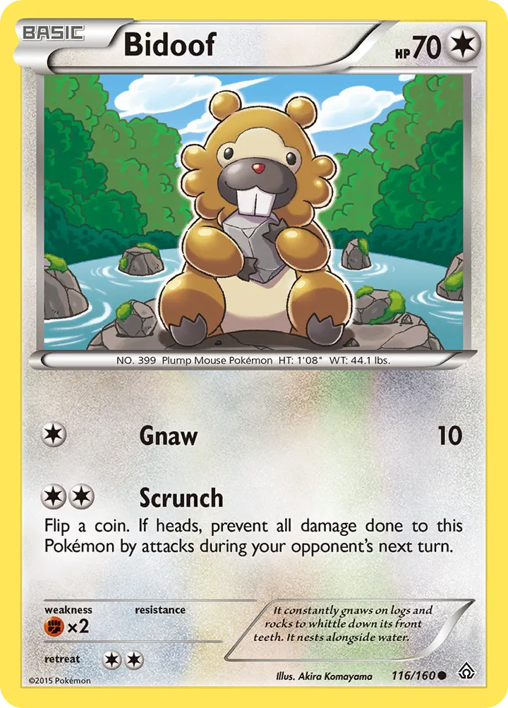 XY—Primal Clash 영어판 Bidoof 116 카드 앞면