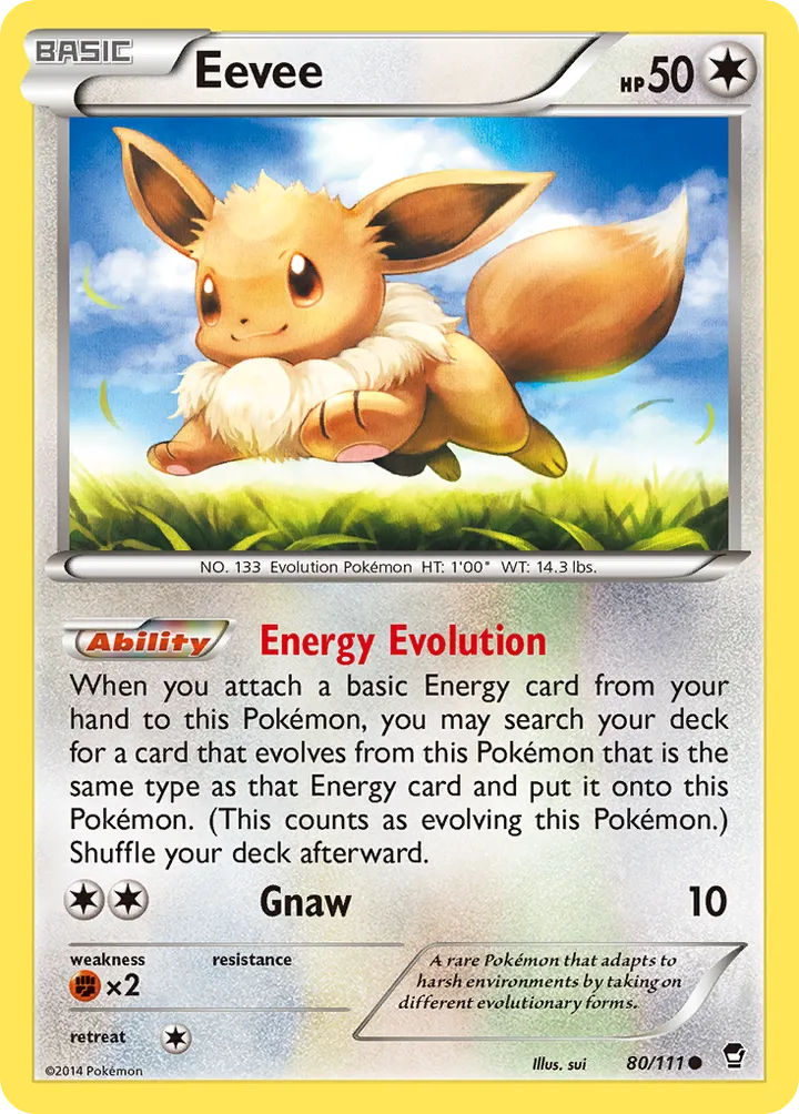 XY—Furious Fists 영어판 Eevee 80 카드 앞면