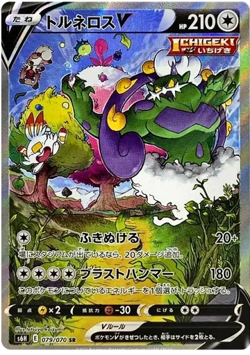 Tornadus V 79