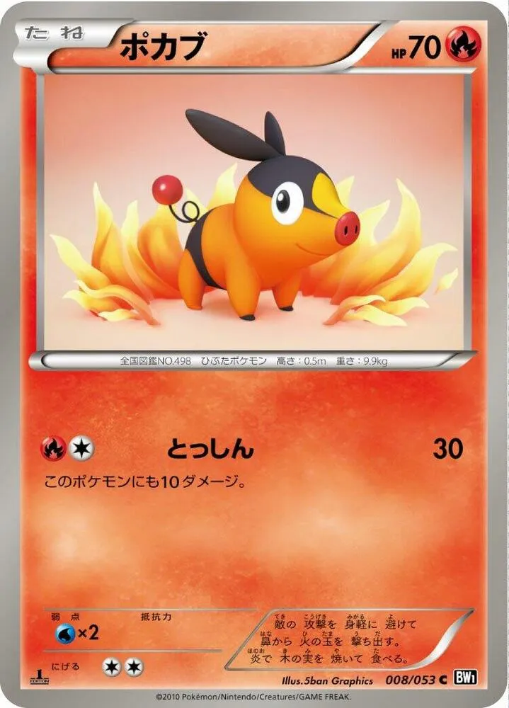 Front of Tepig 8, ブラックコレクション Japanese