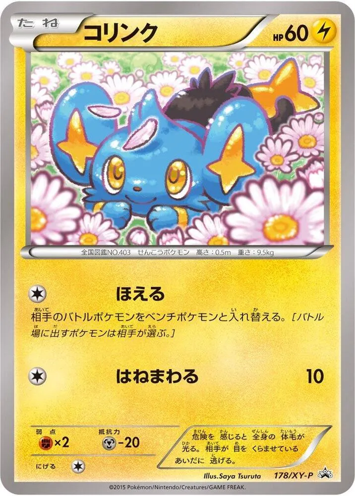Front of Shinx 178, XY-Pプロモーションカード Japanese