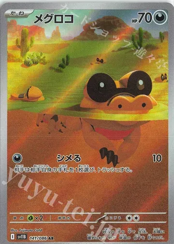 Sandile 141 $6.05