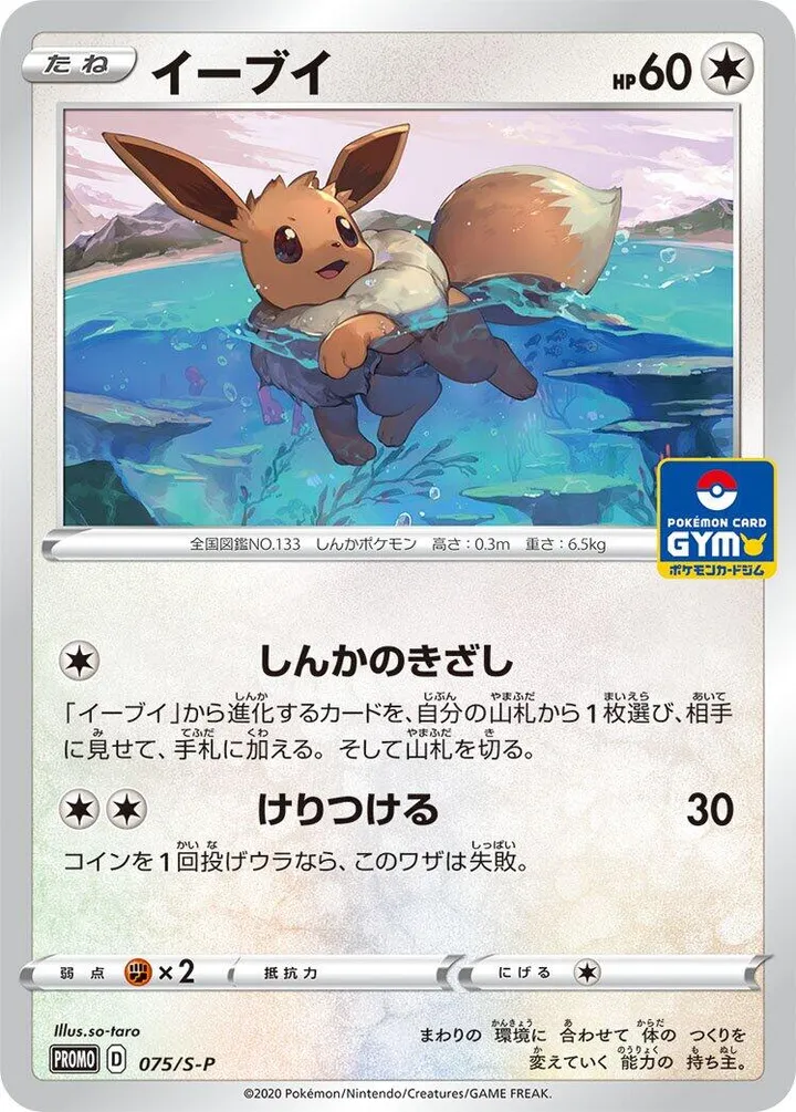 Front of Eevee 75, S-Pプロモーションカード Japanese