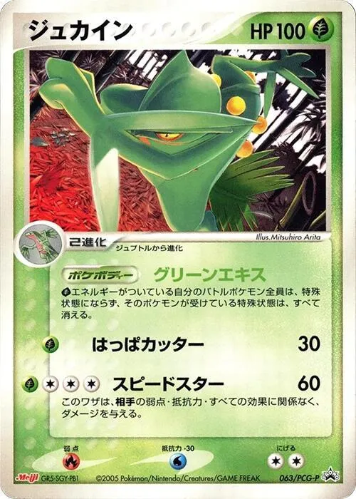 Front of Sceptile 63, PCG-Pプロモーションカード Japanese