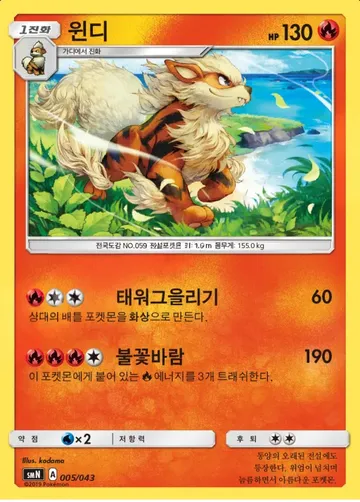 윈디
