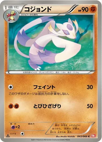 コジョンド 43 ¥126