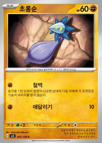 초롱순 63 ₩500