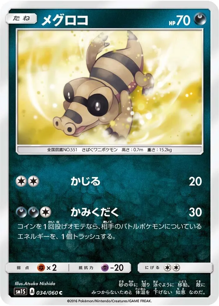 Front of Sandile 34, コレクション サン Japanese