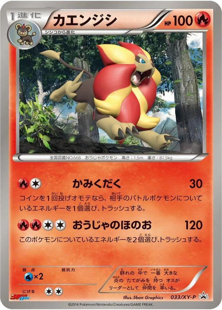 Front of Pyroar 33, XY-Pプロモーションカード Japanese