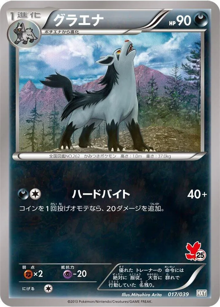 Front of Mightyena 17, はじめてセット／はじめてセット for ガール Japanese