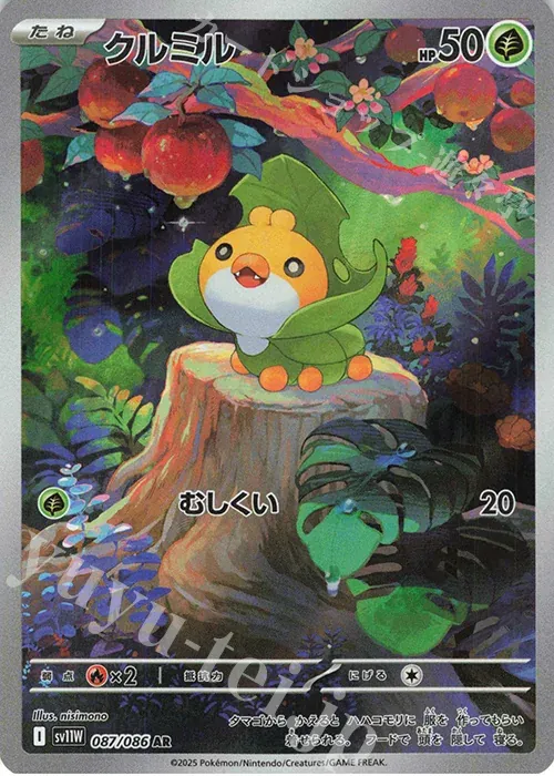 Front of Sewaddle 87, ホワイトフレア Japanese